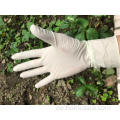 8mil Latex Sterilisation Medizinische Handschuhe